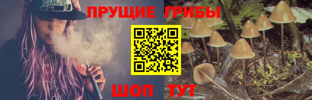 Галлюциногенные грибы Magic Shrooms  цена   Вход с VPN  Бугульма  Галлюциногенные грибы прущие грибы 