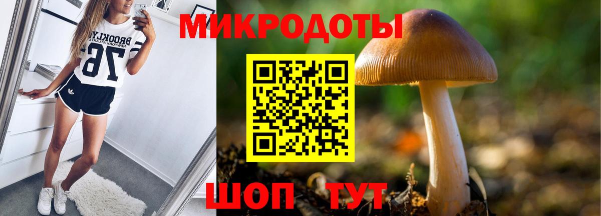 Галлюциногенные грибы Psilocybe Бугульма